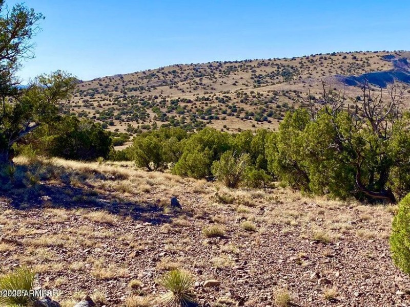 20250525221802264392000000-o