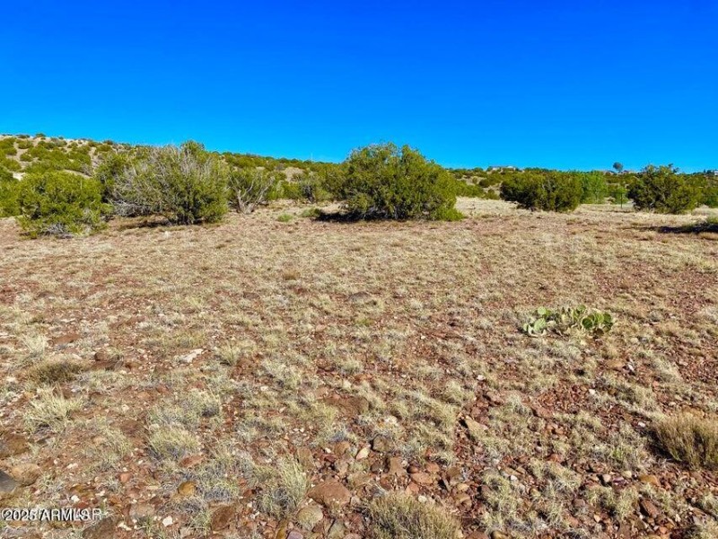 20250525221531231372000000-o