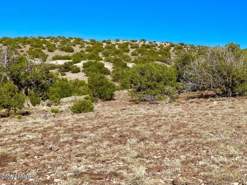 20250525221540911200000000-o