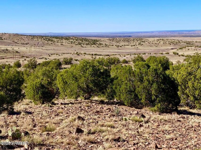 20250525222135882993000000-o