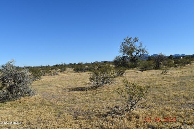 organ pipe S from middle