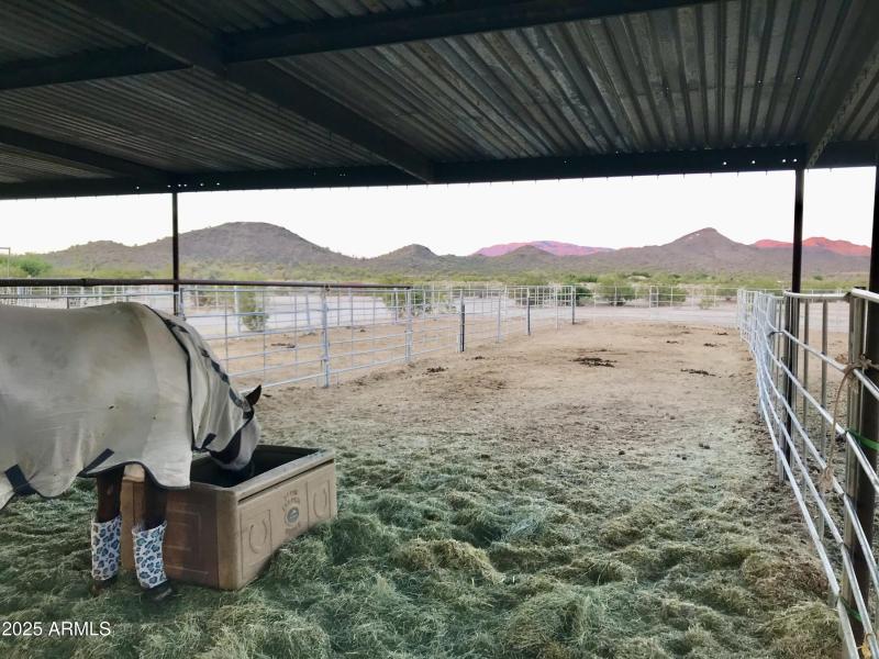 8E9F8FAD-C94C-42F2-8DC5-CD36550CF2E1