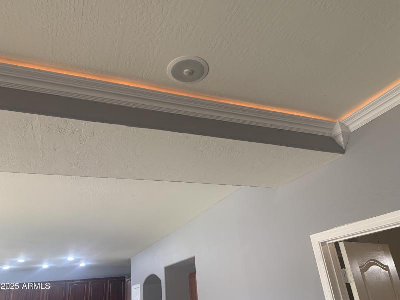 Theatre Lighting/Surround