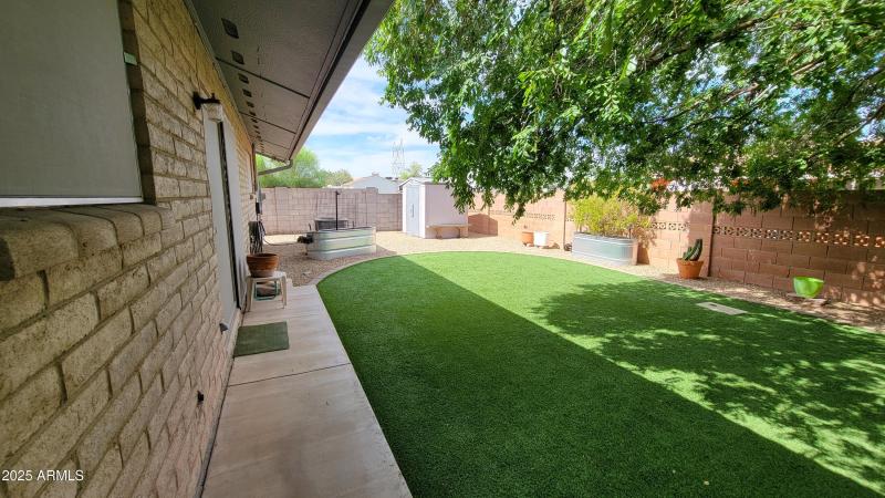 Back Yard