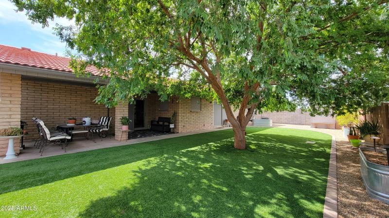 Shaded Patio