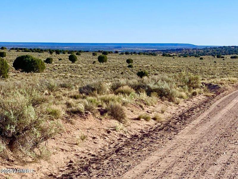 20250526053345871049000000-o