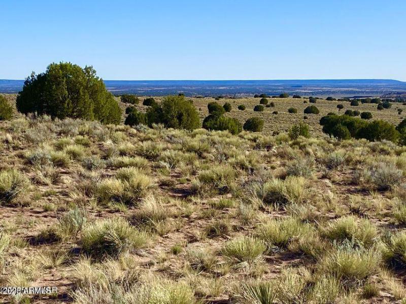 20250526052742965451000000-o