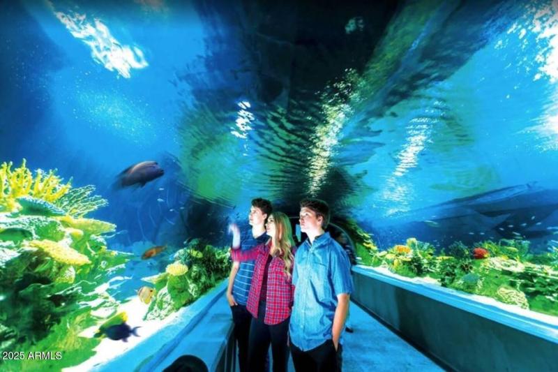 58d1eefb-d4f6-4452-ae4f-f67bfc08e120