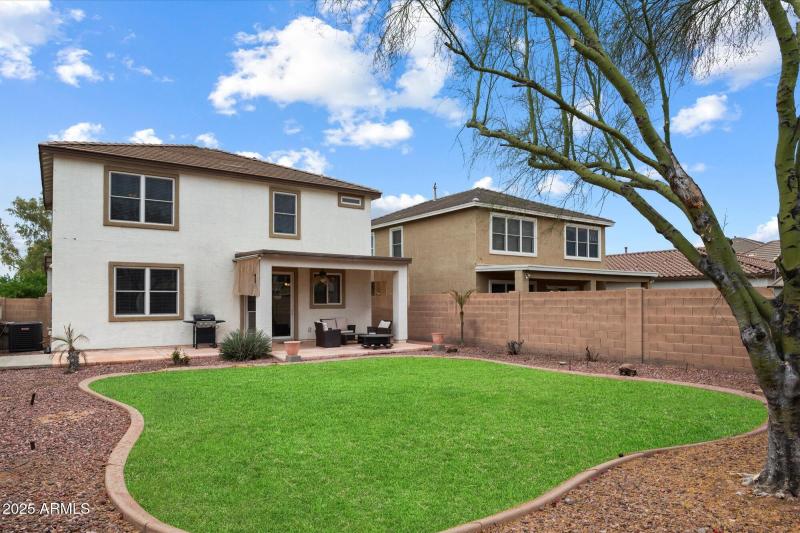 22-PHOTOSHOPPED WITH GRASS