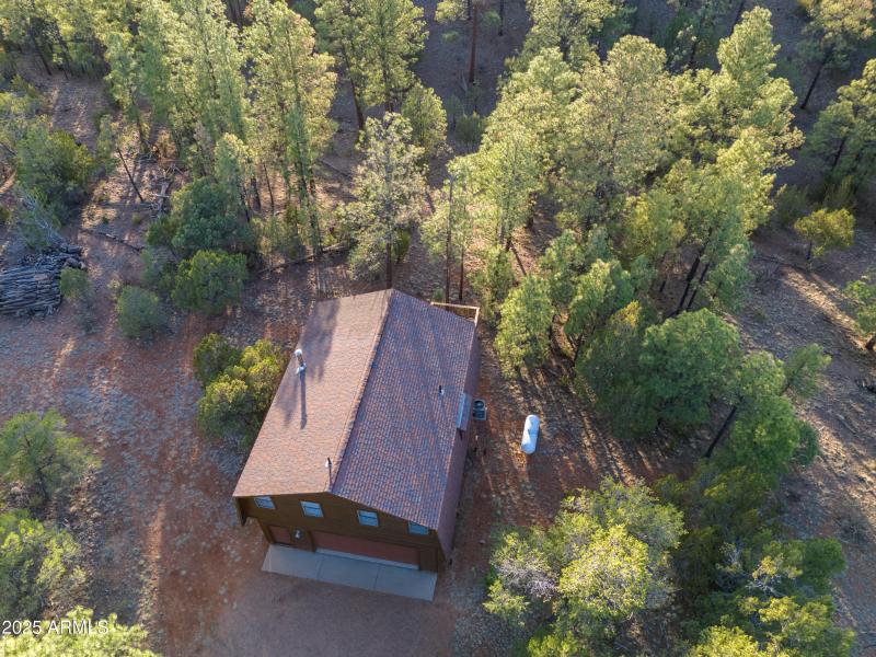 2836 Homestead Drive Overgaard, AZ 85933