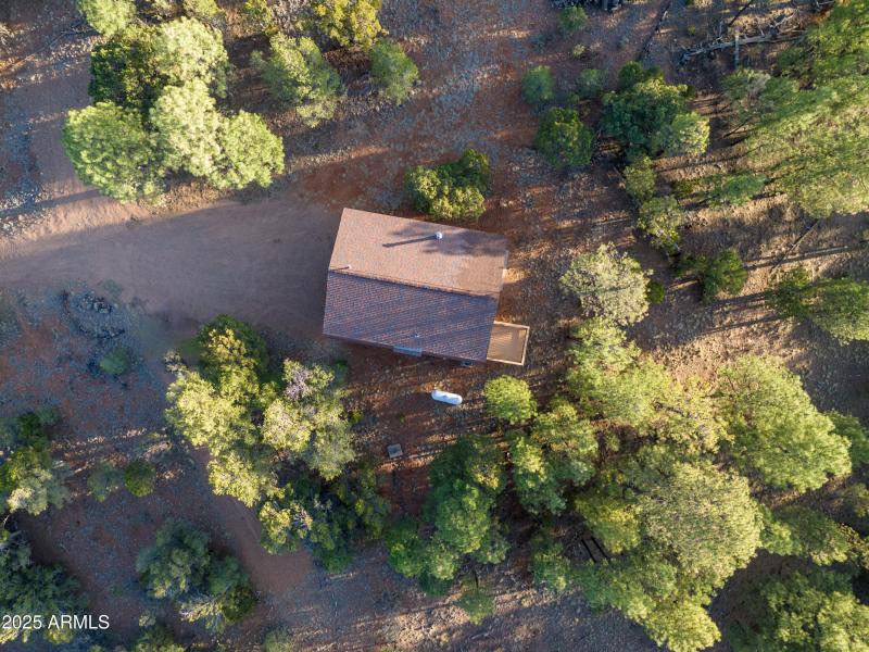 2836 Homestead Drive Overgaard, AZ 85933