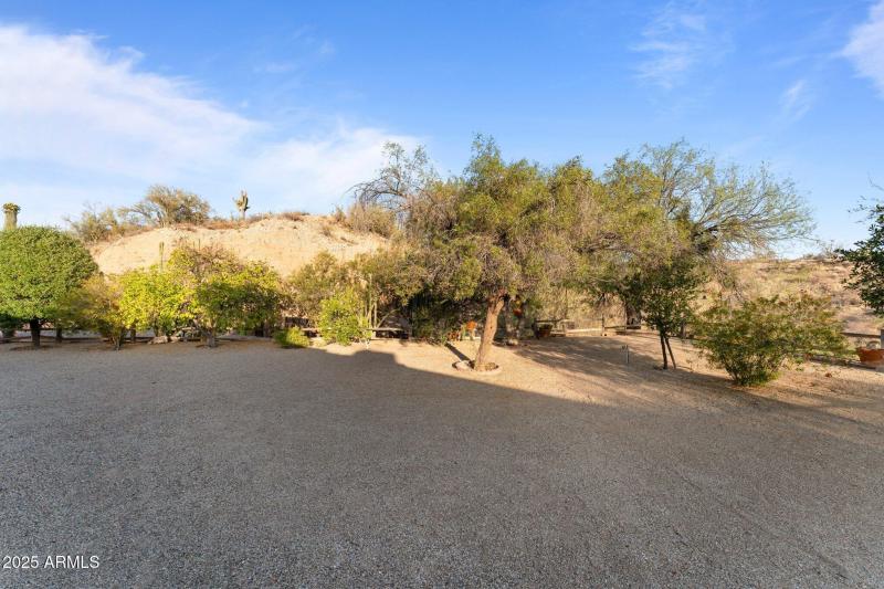 54-web-or-mls-DSC00556