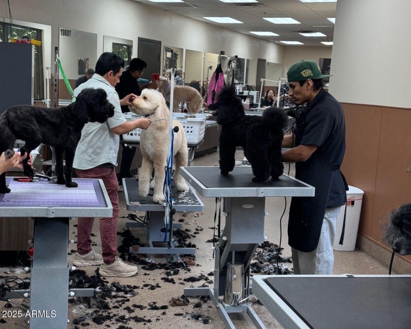5 Grooming Salon (Cropped)