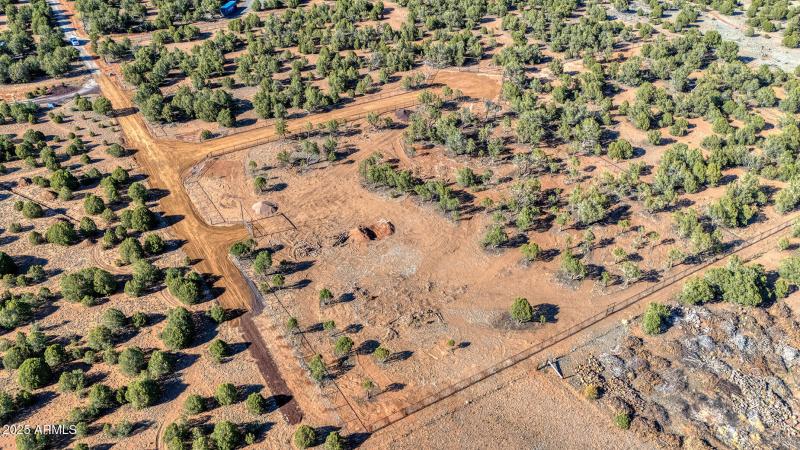 photo(12) Willis Bros Mgmt LLC Lindy 052