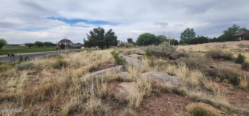 20250525194159293957000000-o