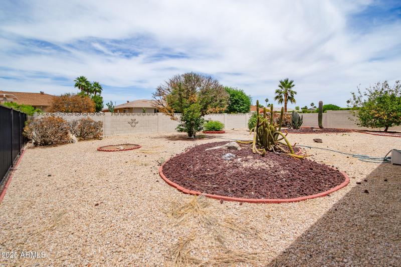 IMG_7543-Enhanced-NR