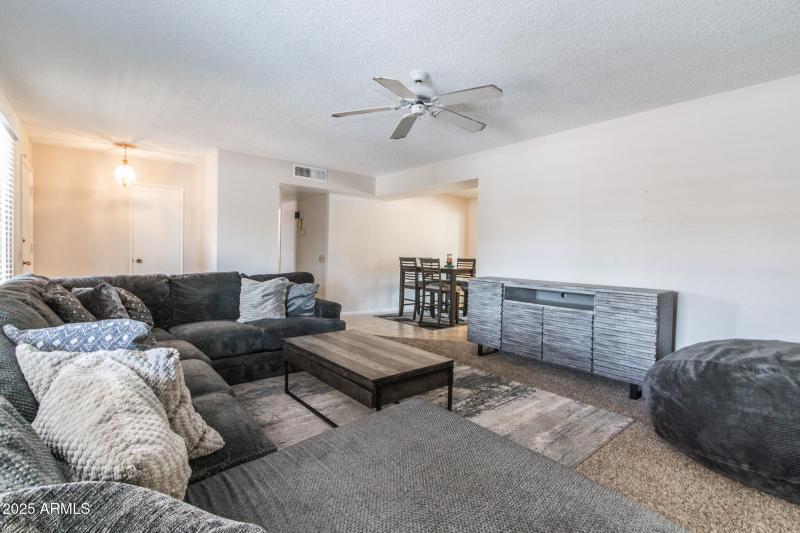 IMG_7439-Enhanced-NR