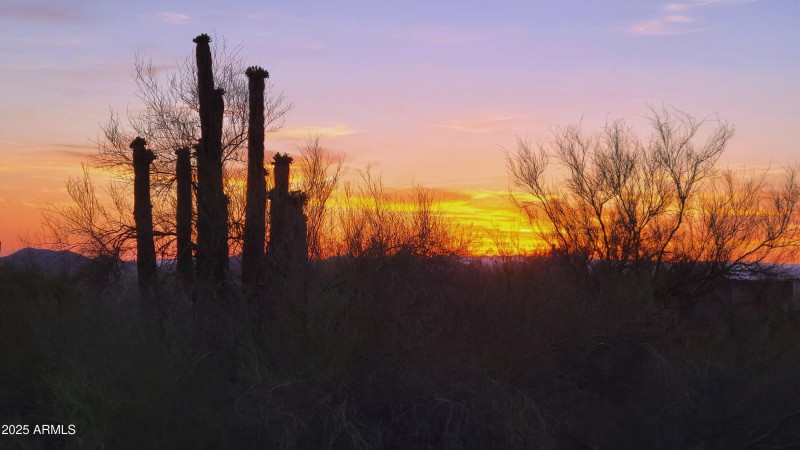 Primary View of Sunset