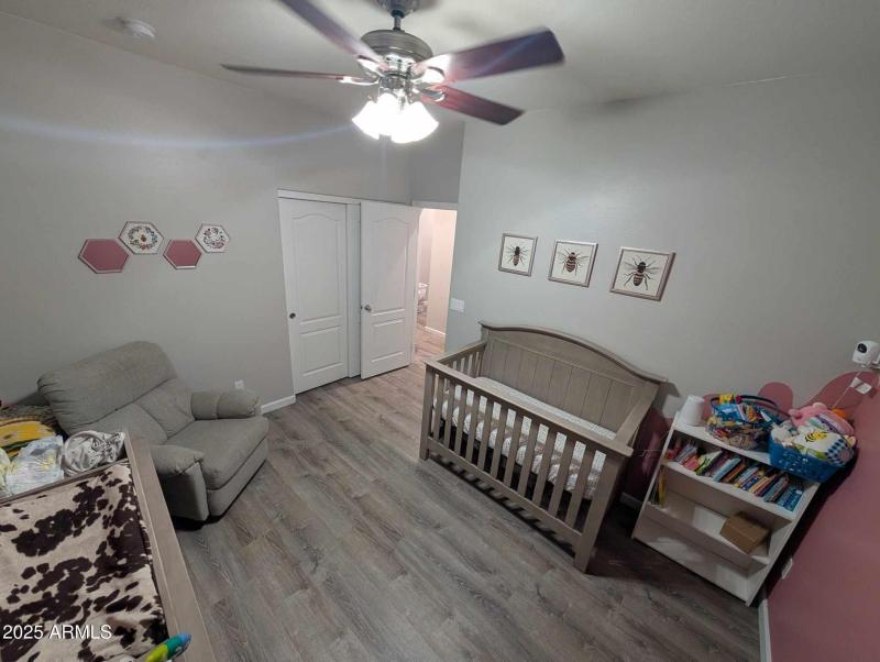 494359858_1042808057291392_7807205928233