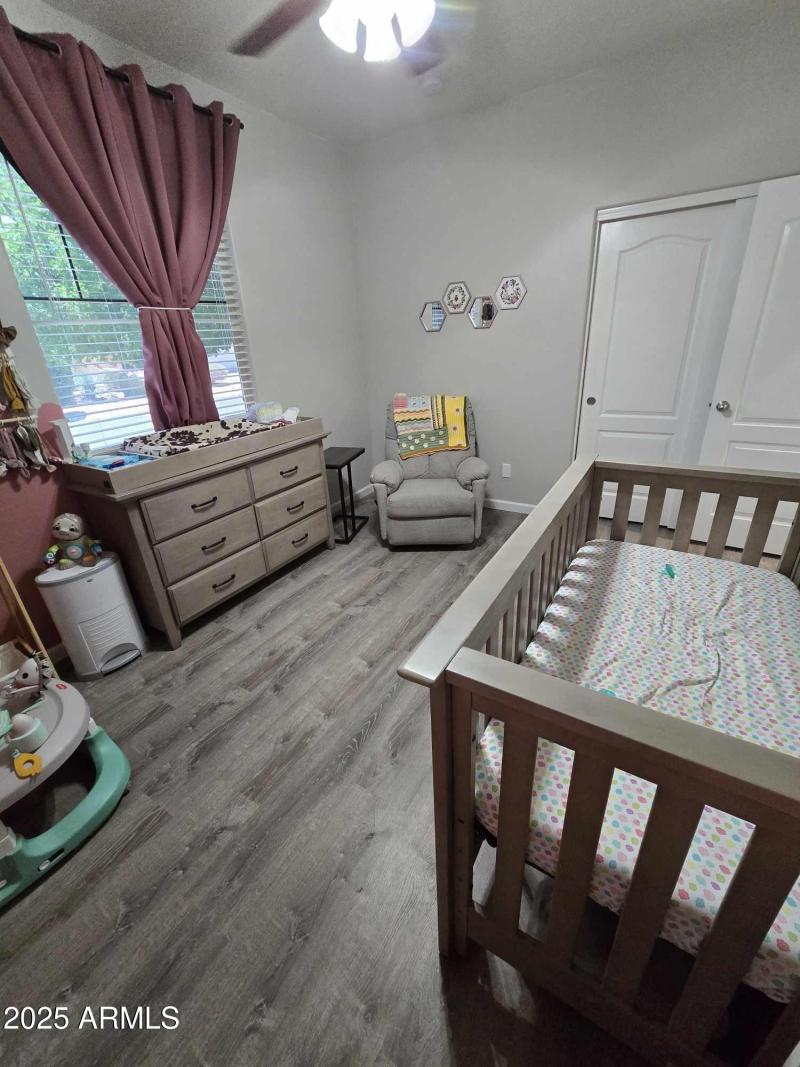 494361383_1803684170178238_2367568138323