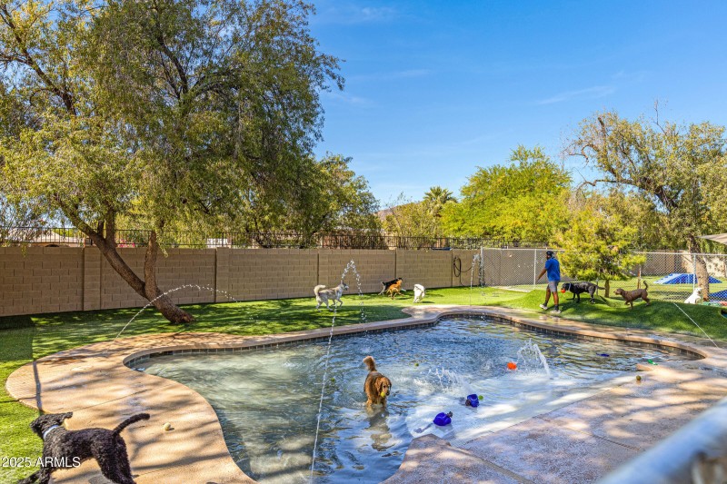 6909 E Lincoln Dr-28