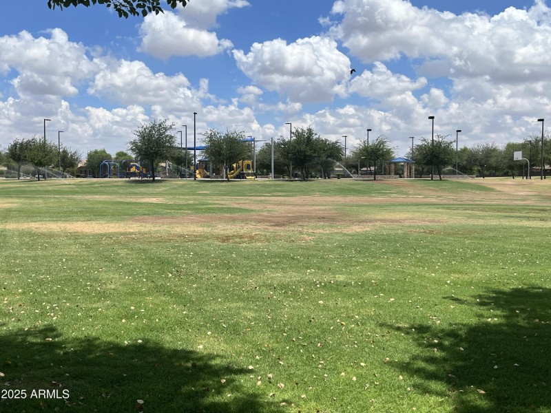 CP FIELDS
