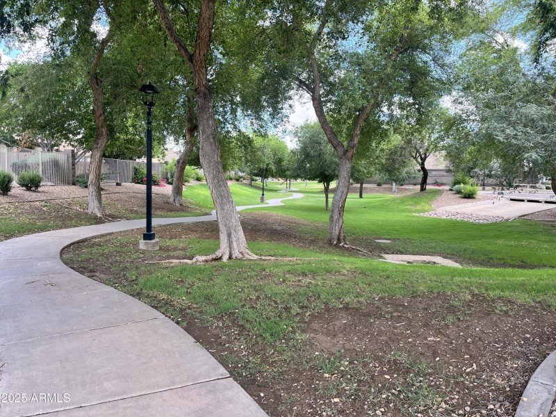 WALKING TRAILS