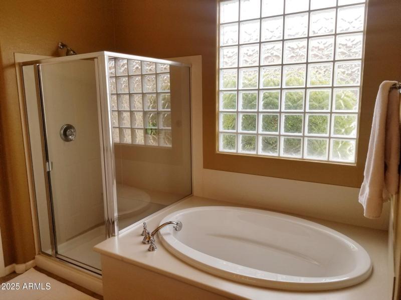 26824 W Potter Dr - master bathroom show