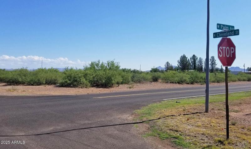 Corner Palm & Cleveland