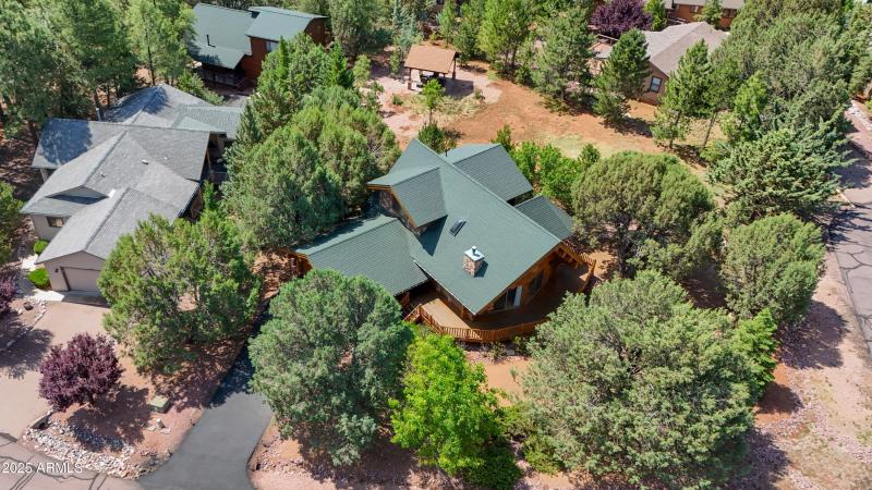 Raines - Hidden Pines Loop-93