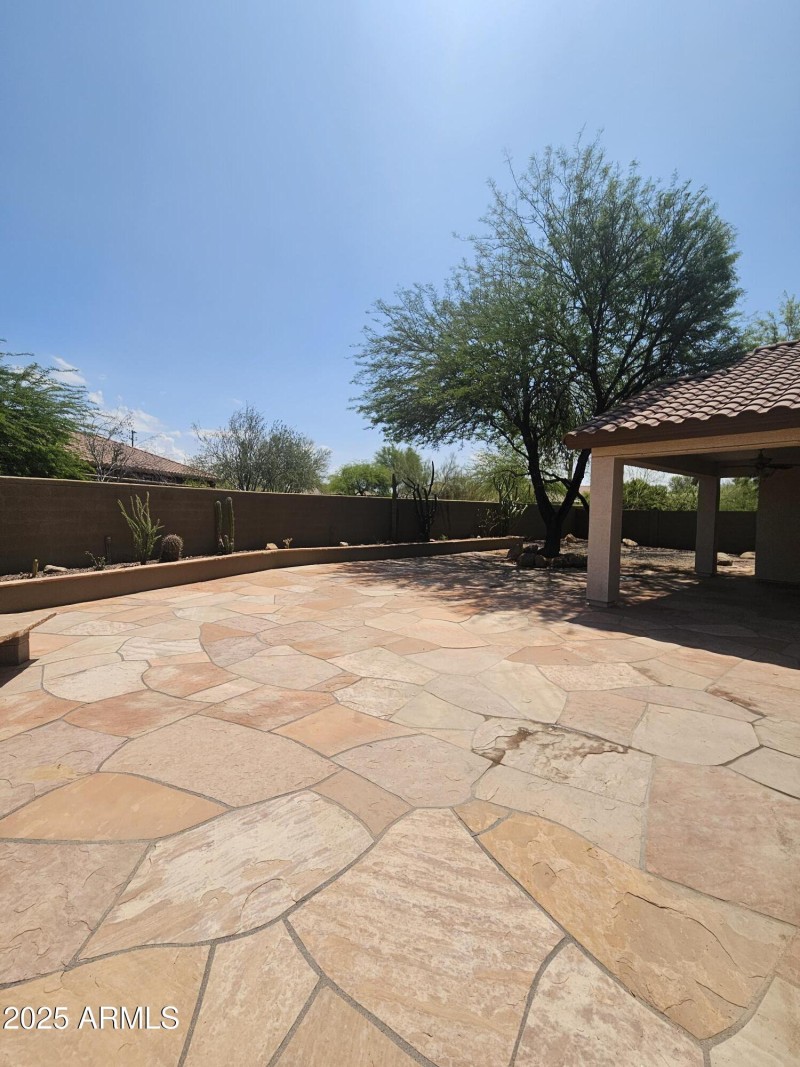 Back Yard 3