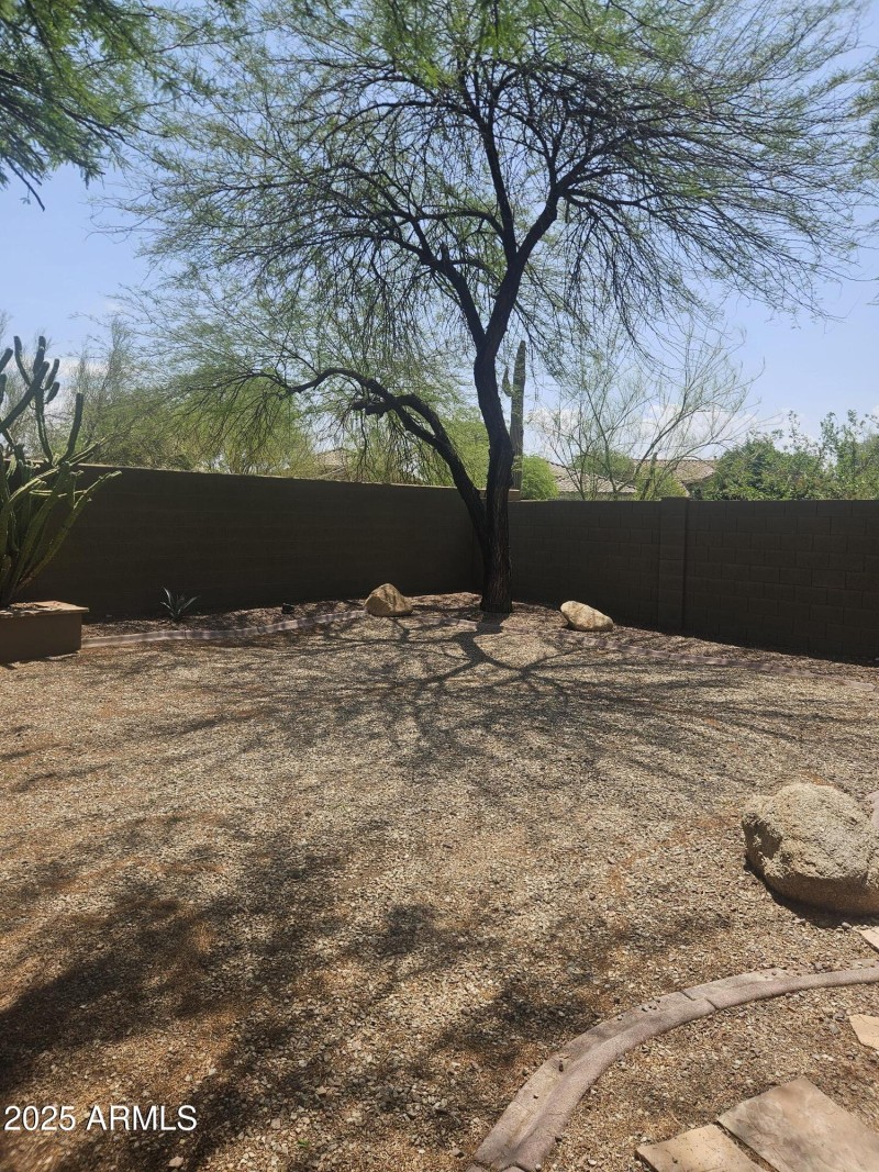 Back Yard 6
