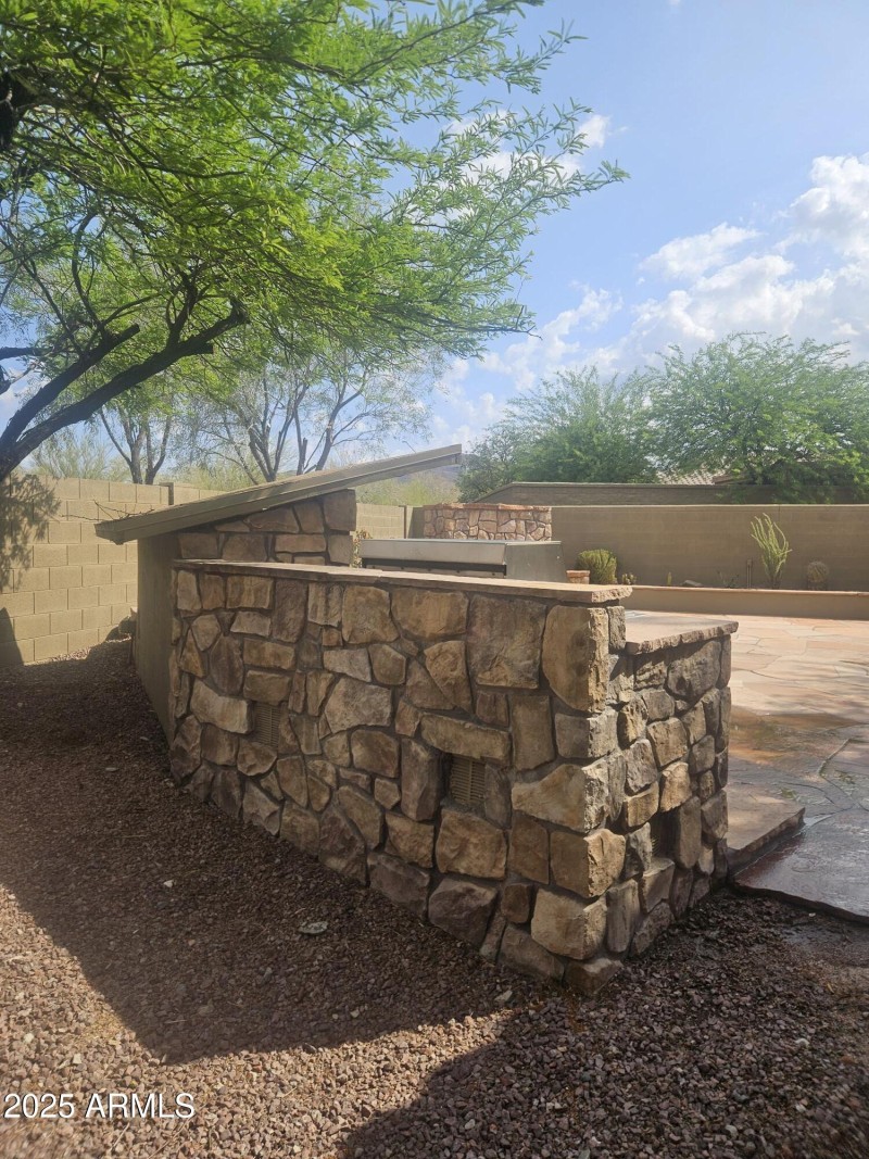Back Yard 8
