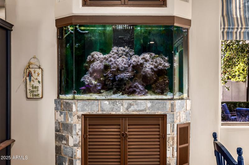 Built in saltwater tank