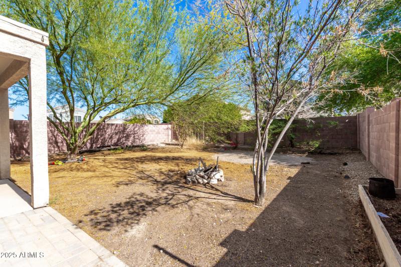 31 - Santa Cruz 3049