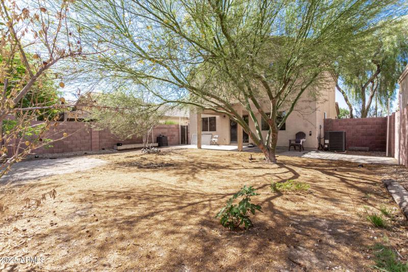 33 - Santa Cruz 3049