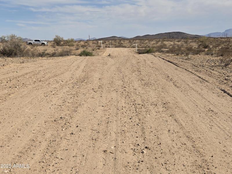 WhatsApp Image 2025-06-06 at 17.59.13_3d