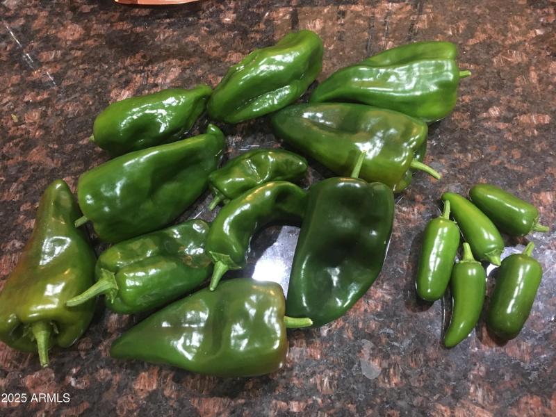 Peppers