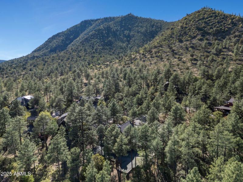 60-web-or-mls-TimberCreekImagery-48