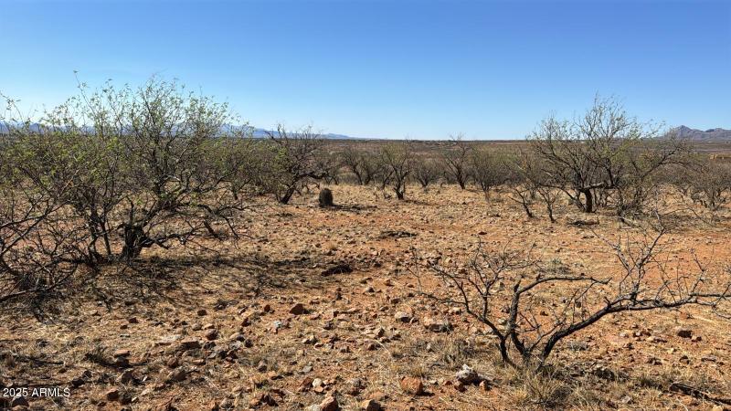 235c5e65-1c04-4121-8b20-5262049e5e61