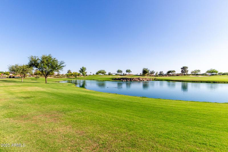 37 - Desert Tea 35990