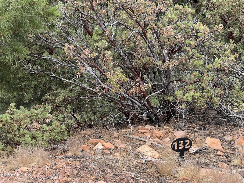 132 Knob Hill - lot number