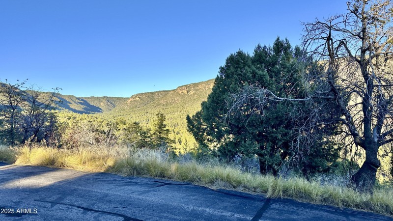 132 Knob Hill - views