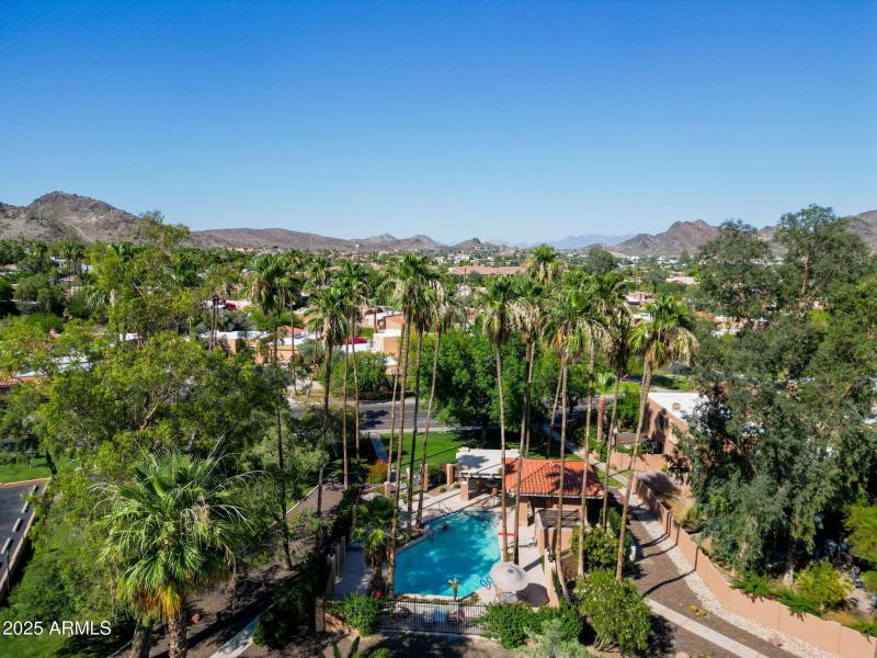 Resort Style Community Pool