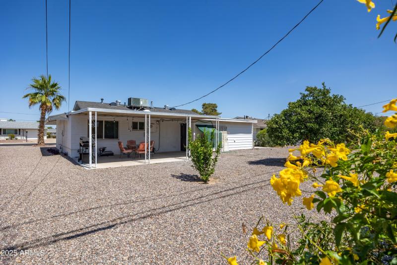 Rear Desert Landscape