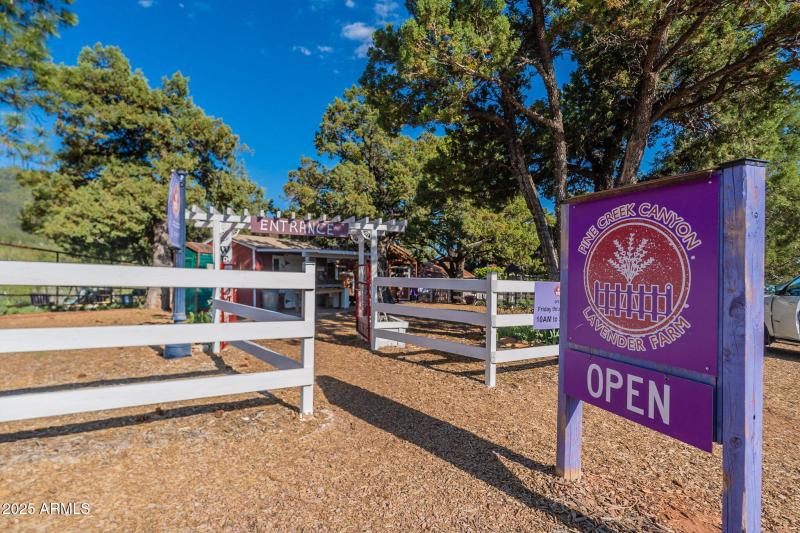 73-web-or-mls-Turkey-Community-21