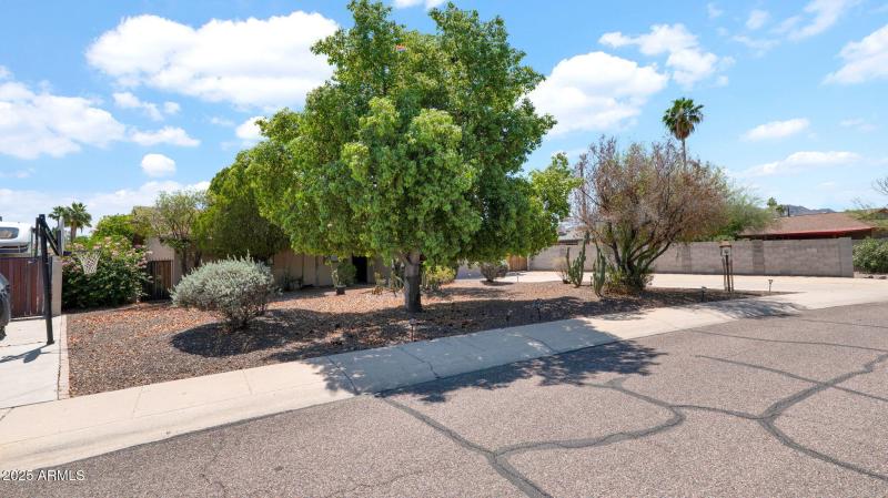 8-web-or-mls-P1083830