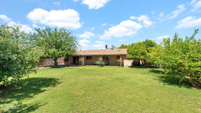 54-web-or-mls-P1083819