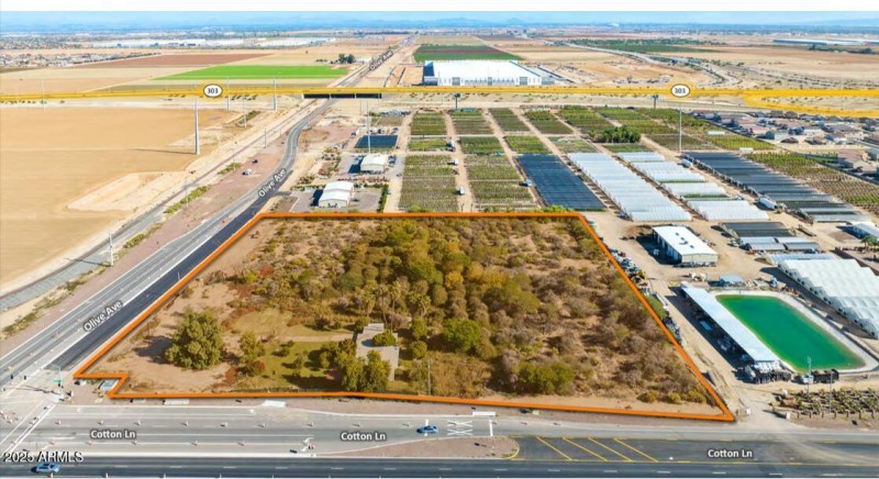 Cotton & Olive Aerial II