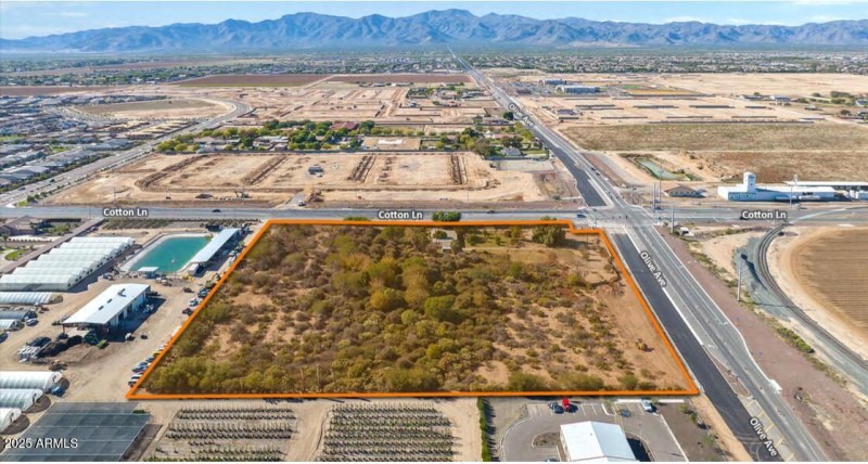 Cotton & Olive Aerial IV